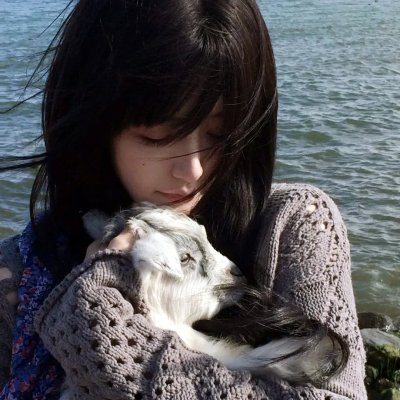 猫老大