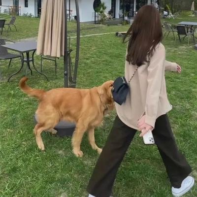 换子疑云